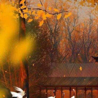 点将三国官方版下载